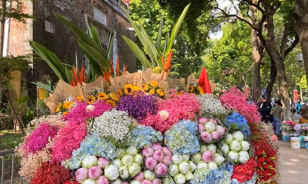 Hà Nội: Du khách xuống phố Phan Đình Phùng đón Thu
