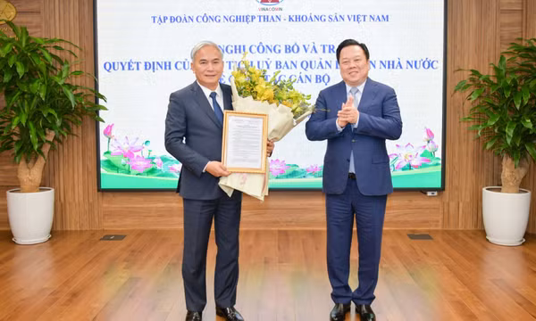 Đồng chí Vũ Anh Tuấn được bổ nhiệm chức vụ Tổng Giám đốc Tập đoàn TKV