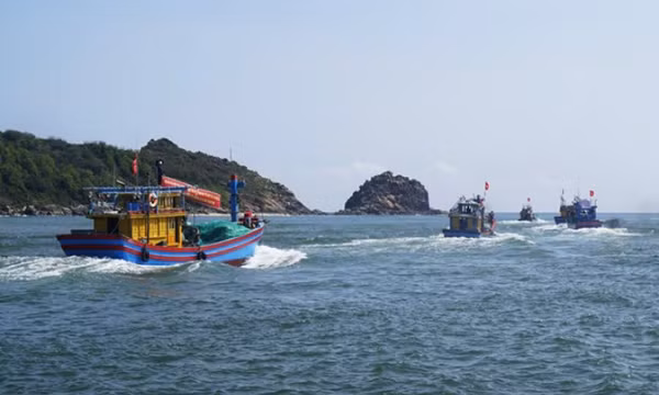 Tàu cá ngư dân Bình Định bị tàu khác đâm chìm trên biển