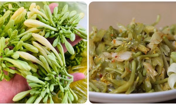 Cách sử dụng hoa đu đủ đực tươi tốt cho sức khoẻ