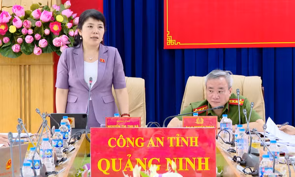 Tham vấn ý kiến tham gia các dự án Luật do Bộ Công an chủ trì soạn thảo