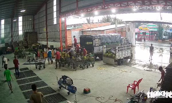 Nhờ mua dê mà không chịu nhận, bị đồng nghiệp đâm chết