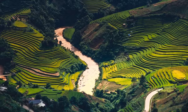 Những “nấc thang” mùa lúa chín làm say lòng nhiếp ảnh gia