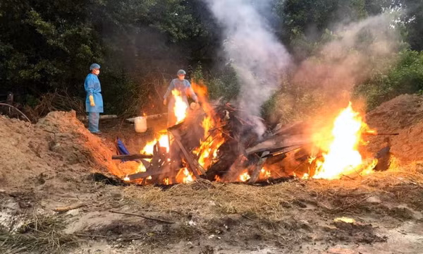 Tạm ngưng hoạt động Khu du lịch Vườn Xoài để xử lý dịch