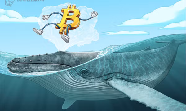 Ví cá voi Bitcoin 'thời đại Satoshi' thức giấc