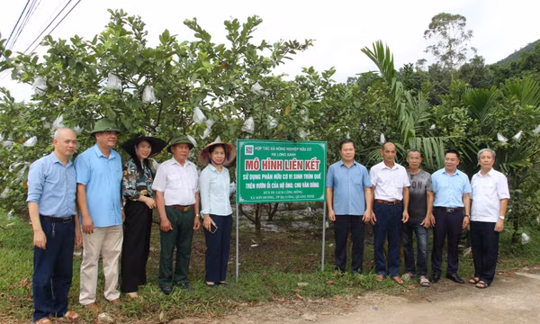 Tiếp sức cho nông dân sản xuất an toàn, hiệu quả