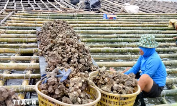 Hàn Quốc hỗ trợ 1 triệu USD giúp Việt Nam khắc phục hậu quả bão số 3