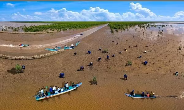 Trải nghiệm “du lịch xanh” hấp dẫn tại Cà Mau
