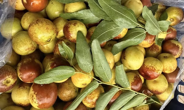Quả ‘thần dược’ của Trung Quốc tràn sang chợ Việt, giá chỉ 30.000 đồng/kg
