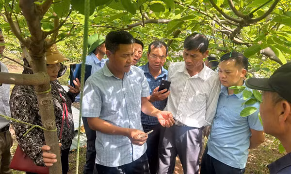Nâng cao thu nhập cho hội viên