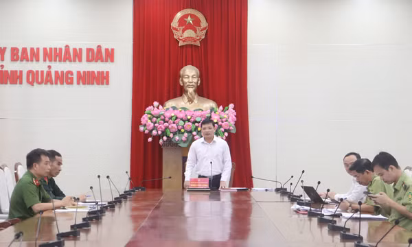 Tăng cường công tác phòng cháy, chữa cháy rừng