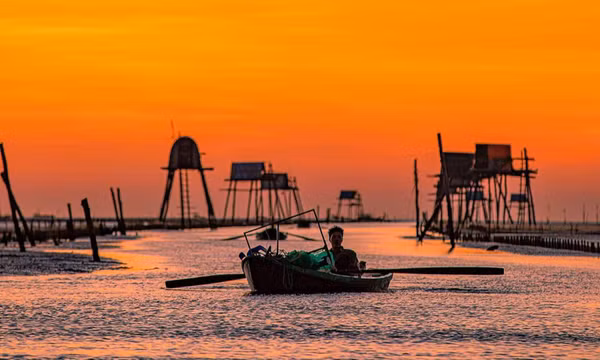 Bình minh trên cánh đồng nuôi ngao ở Thái Bình