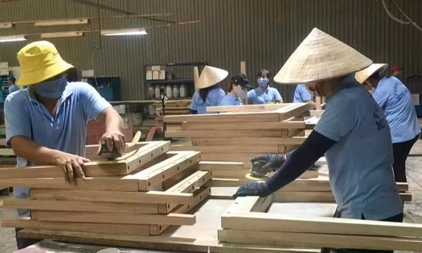 Tập trung phát triển lâm nghiệp bền vững