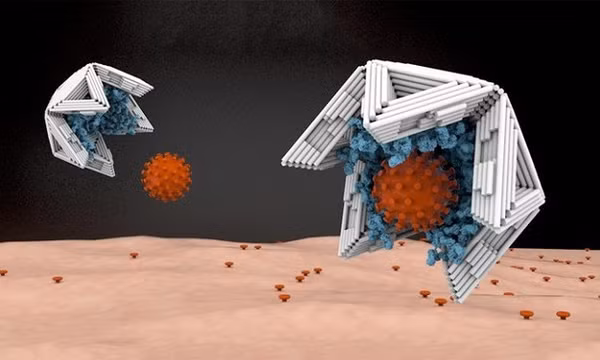 'Bẫy' kích thước nano vô hiệu hóa virus truyền nhiễm
