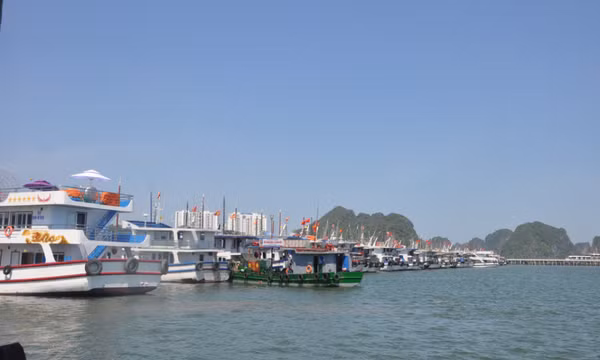 Hỗ trợ người dân, doanh nghiệp vượt đại dịch