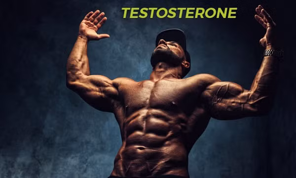 Testosterone ảnh hưởng như thế nào đến thành công?