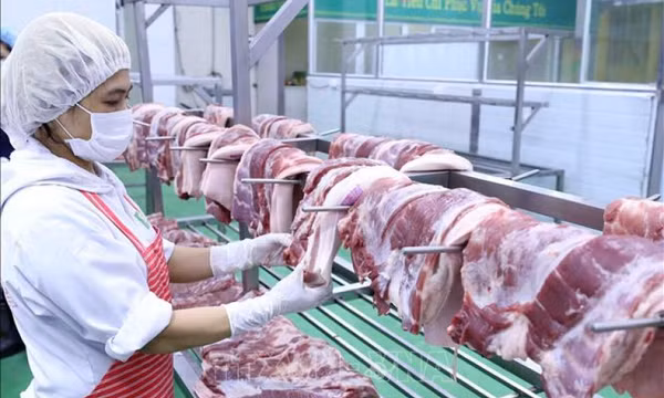 Giá lợn hơi tiếp tục giảm bất chấp việc ngừng nhập khẩu lợn sống từ Thái Lan