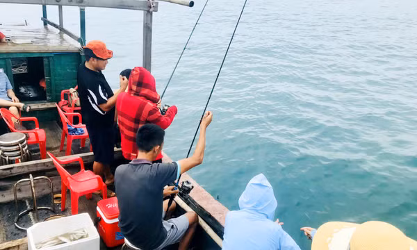 Trải nghiệm câu cá ở Cô Tô  