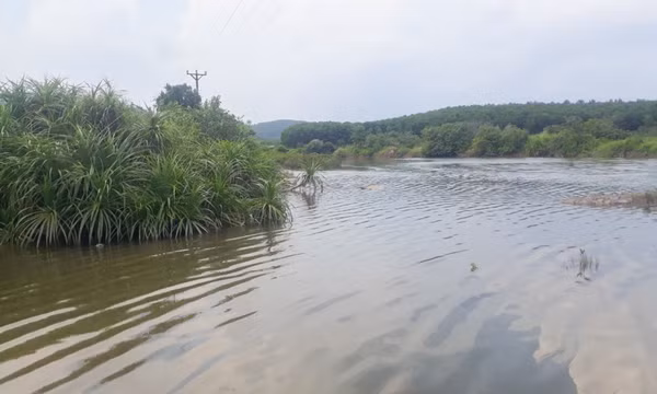Móng Cái: Phát hiện 1 thi thể trong đầm nuôi cá của người dân