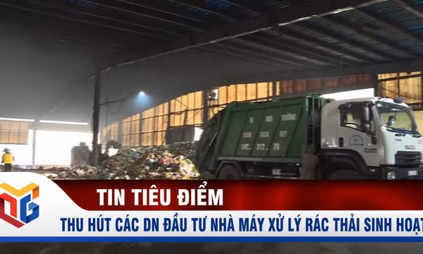 Thu hút các doanh nghiệp đầu tư nhà máy xử lý rác thải sinh hoạt