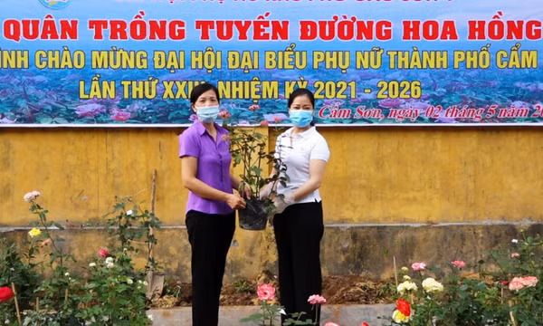 "Thành phố triệu đóa hoa hồng"