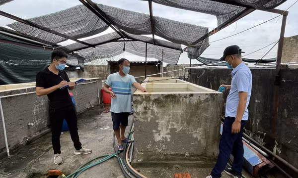 TP Hạ Long: Đẩy mạnh công tác GPMB