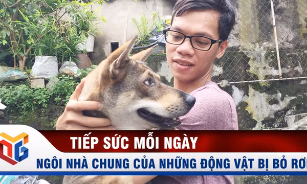 Ngôi nhà chung của những động vật bị bỏ rơi