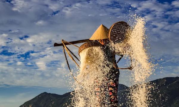 Hòn Khói trắng tinh từng ruộng muối