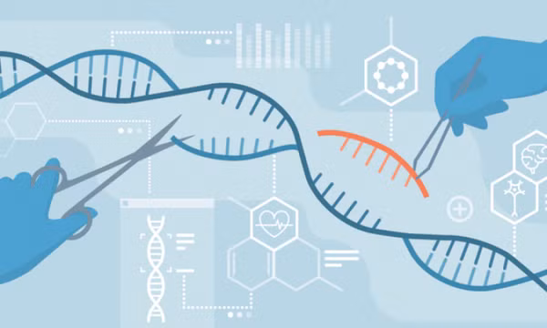 Công nghệ sửa đổi gene CRISPR có thể ngưng sự lan truyền của virus corona giữa các tế bào trên người