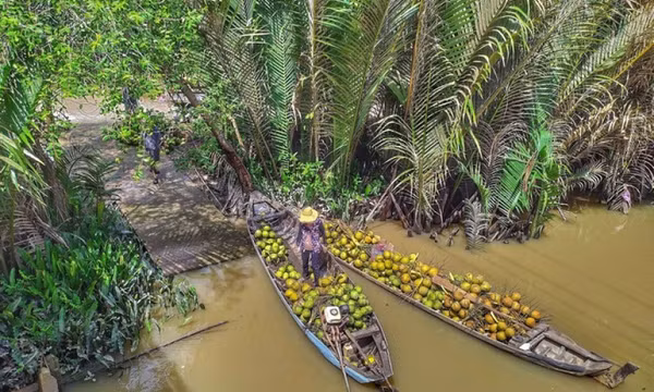 Xứ dừa Bến Tre yên bình