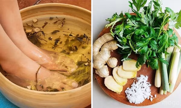 Trước khi đi ngủ, ngâm chân với loại lá này có thể chữa 5 loại bệnh nhiều người mắc