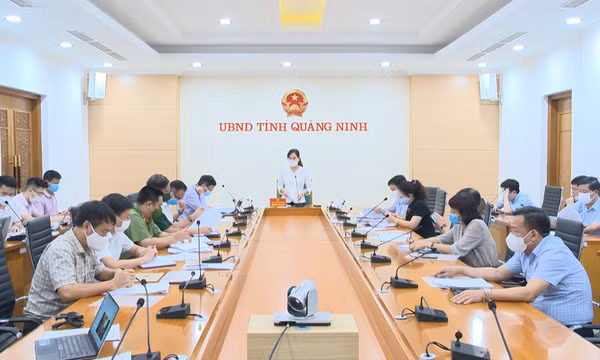 Quảng Ninh: Xây dựng phương án đảm bảo y tế nếu có 1.000 ca mắc Covid-19