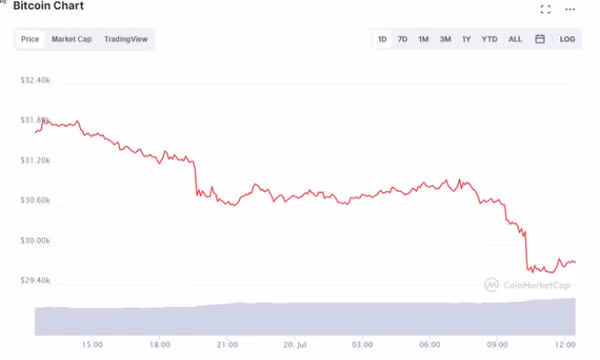 Nhà đầu tư hoảng loạn khi Bitcoin thủng mốc 30.000 USD, sẽ còn lao dốc sâu về 22.000 USD?