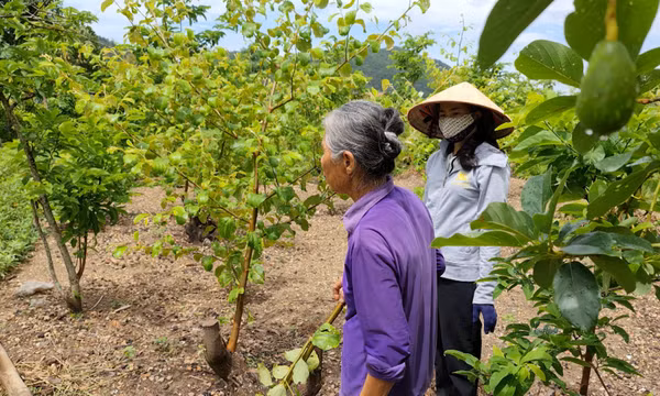 "Đầu tàu" vì môi trường xanh ở Vĩnh Trung