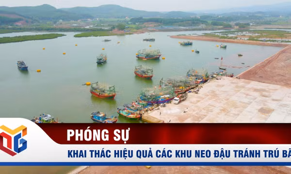 Khai thác hiệu quả các khu neo đậu tránh trú bão