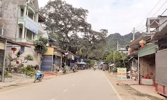 Bắc Kạn: Sẽ xử lý loạt sai phạm tại Dự án đường tỉnh 254