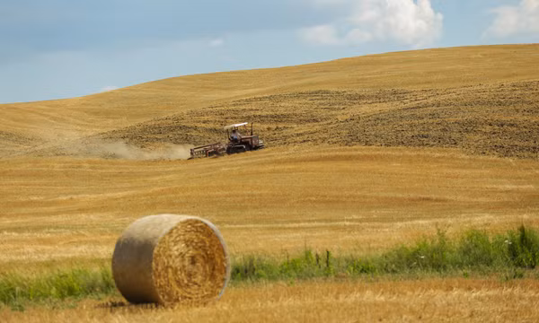 Tuscany - vùng đất làm say lòng bao du khách
