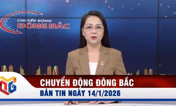  Chuyển động Đông Bắc ngày 14/1/2026