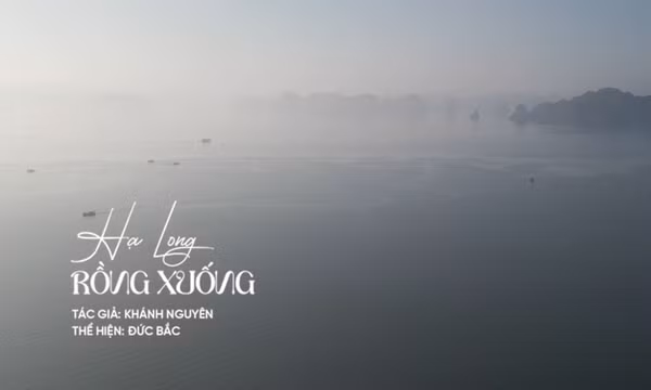 Hạ Long rồng xuống