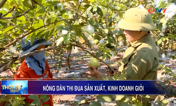 Nông dân thi đua sản xuất kinh doanh giỏi