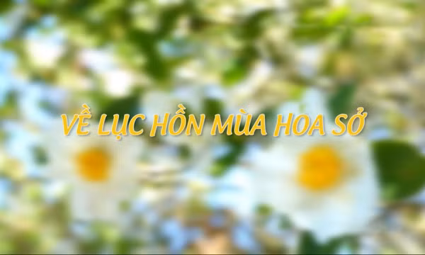 Về Lục Hồn mùa hoa sở