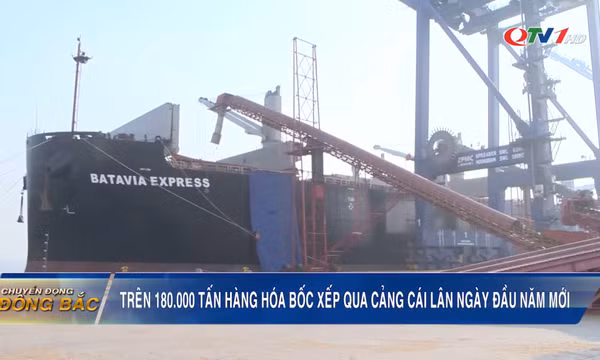 Trên 180.000 tấn hàng bốc xếp qua Cảng Cái Lân ngày đầu năm mới