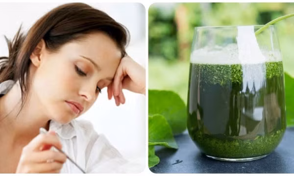 Những ai không nên uống nước rau má?