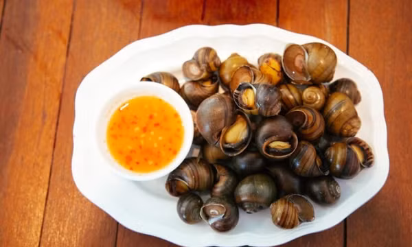 Cần biết điều này khi ăn ốc để không vô tình gây hại