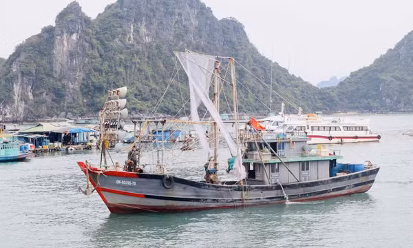 Số hóa trong quản lý tàu cá và khai thác hải sản