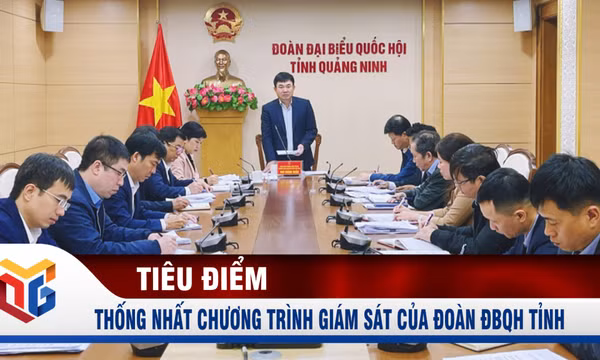 Thống nhất chương trình giám sát của đoàn ĐBQH tỉnh