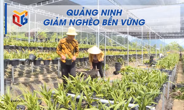 Quảng Ninh giảm nghèo bền vững