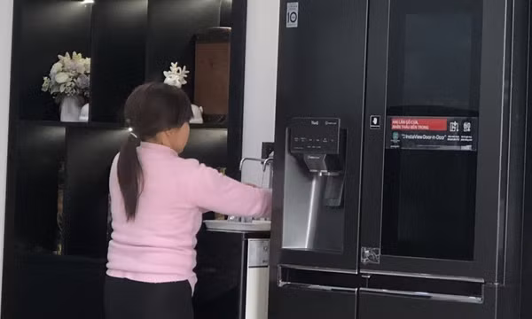 Quyền đơn phương chấm dứt hợp đồng lao động của người giúp việc gia đình