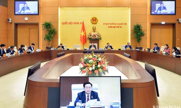 Tạo cơ sở pháp lý cho việc xử phạt hành vi vi phạm pháp luật trong lĩnh vực kiểm toán nhà nước