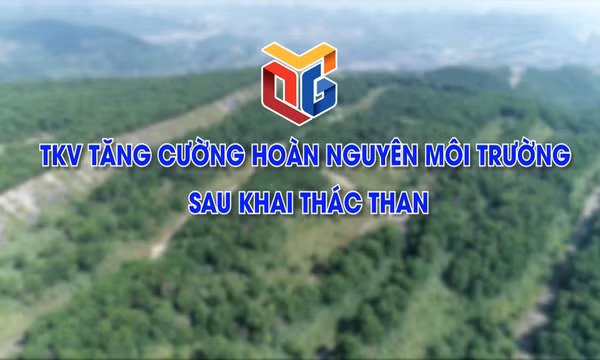 TKV tăng cường hoàn nguyên môi trường sau khai thác than